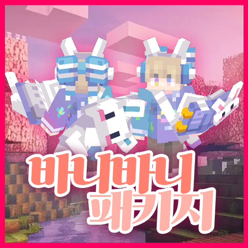 바니바니 패키지