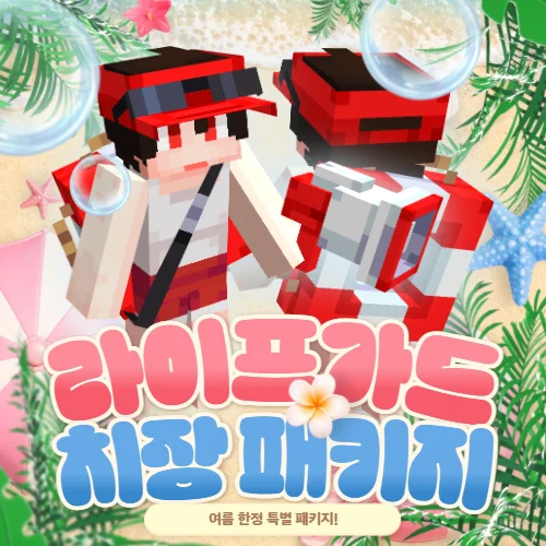 썸머 라이프가드 치장 패키지