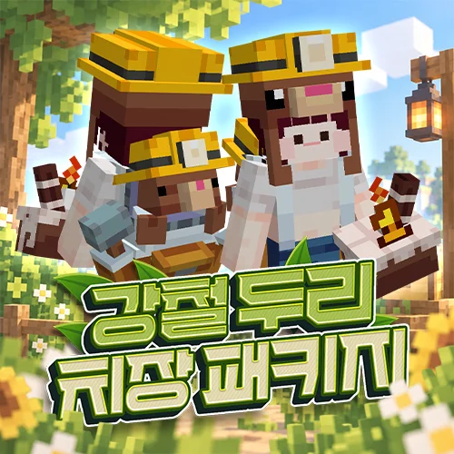 강철 두리 치장 패키지