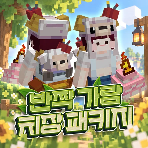 반짝 가람 치장 패키지