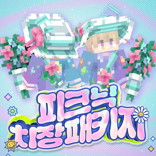 피크닉 치장 패키지